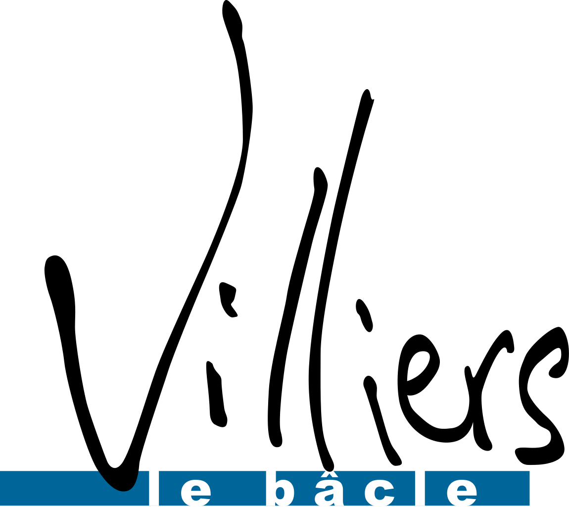Logo de Villiers le Bâcle