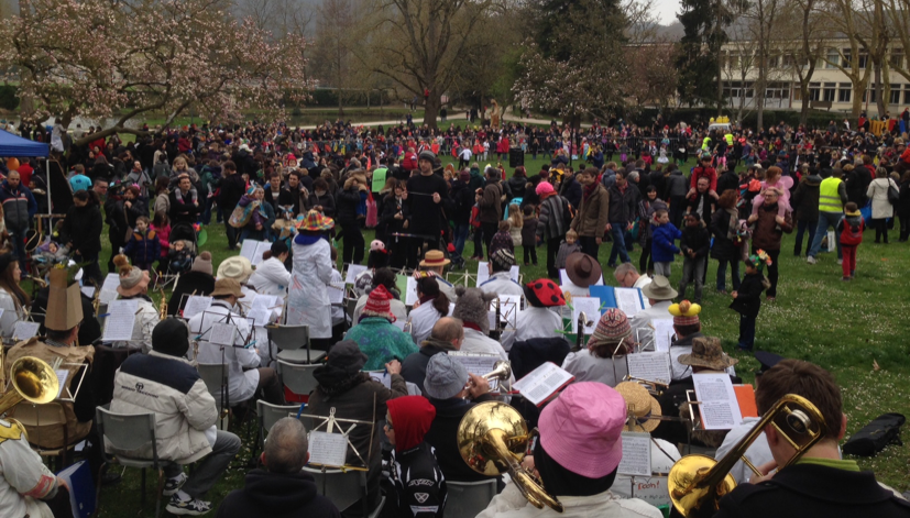 Orchestre AFREUBO animant un Carnaval